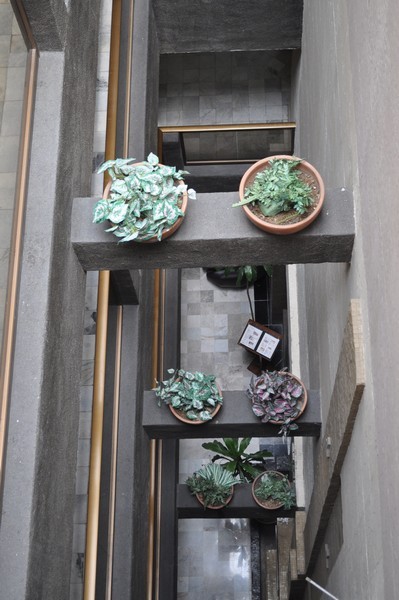 Hotel Flamingo Kristal, Hotel en Irapuato Guanajuato